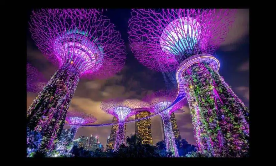 a female digital nomad’s travel guide to singapore