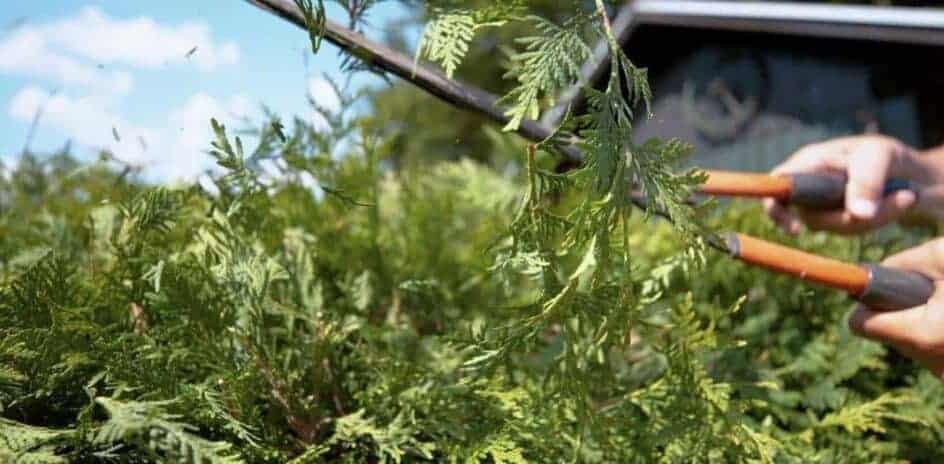 reasons to care for your landscape year-round