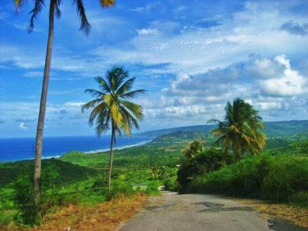 Green Paradise: 3 Most Amazing Natural Sights in Barbados
