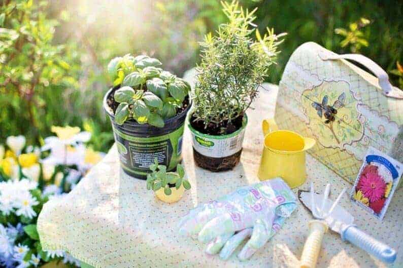 top 8 must-have gardening tools