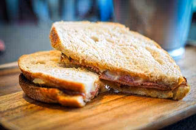 what to do if you’ve been bitten by a dog