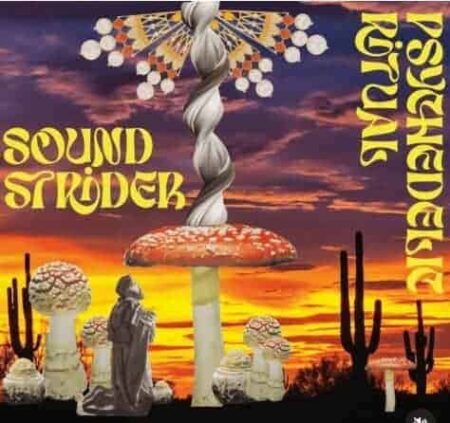 Dive into the mesmerizing world of Sound Strider as he unveils his latest single, “Psychedelic Ritual.”