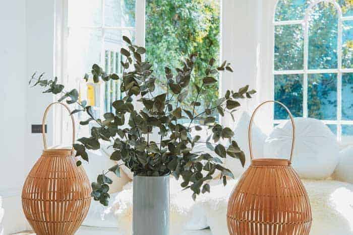 Feng Shui Tips For Your Well-Being and Happiness