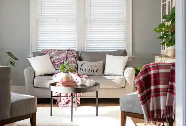 Bright living room with comfortable seating and decorative pillows.