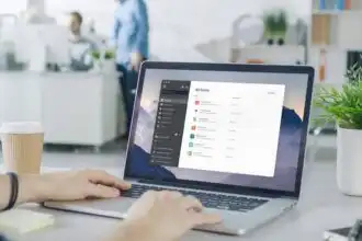 User doing email management on a laptop in an office setting with plants.