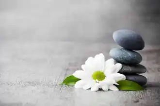 Zen stones stacked with white daisy flower for relaxation and tranquility.