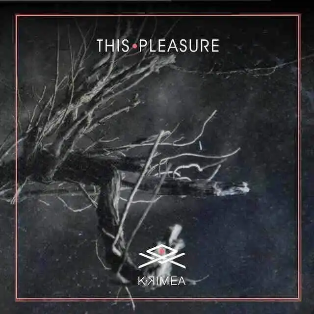 Beautiful dark image with tree branches on a black background, emphasizing mysterious and serene outdoor ambiance.