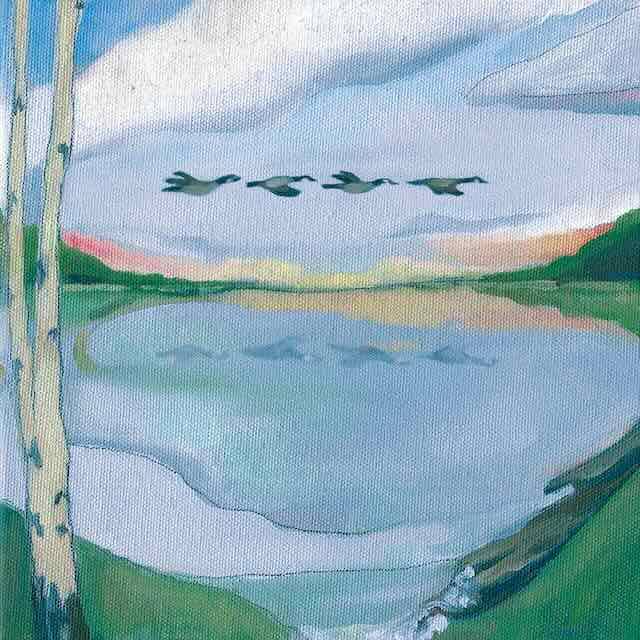 album cover—in your long shadow