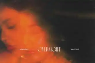 Stylish nightwear and fashion for evening wear at Divine Magazine.