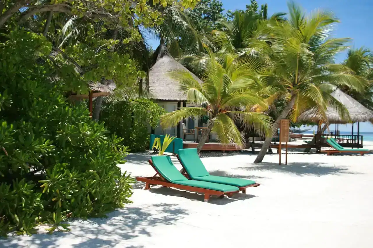 maldive islands, sunbed, vacation, nature, summer, beach