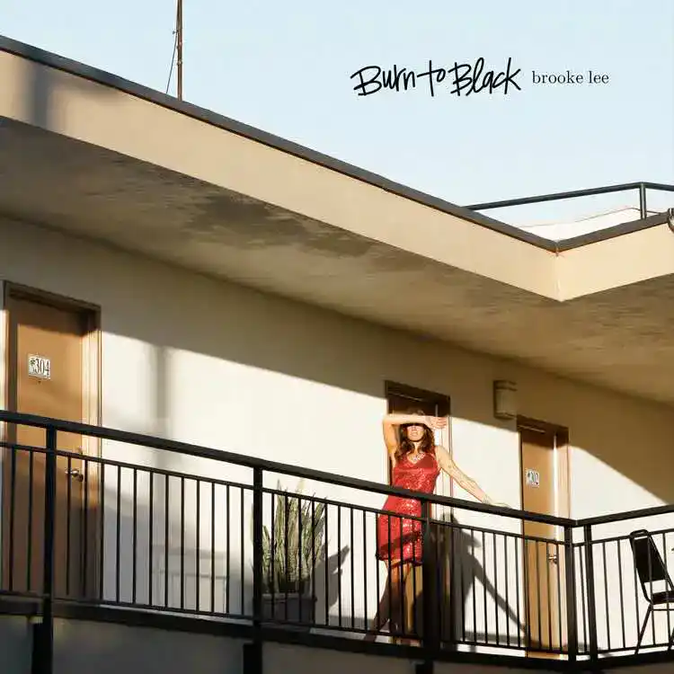 brooke lee burn to black