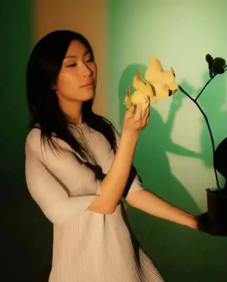Yify Zhang- Forest Opening (神林开天) | New Single 2026 Yify Zhang