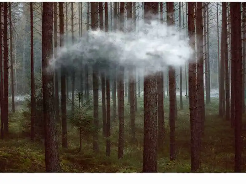 Cloud hovering over a forest of tall trees, symbolizing hope and achievement.