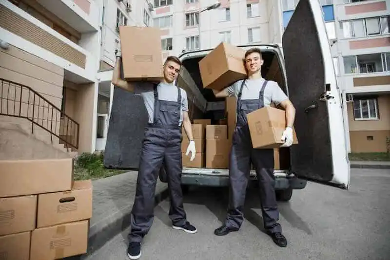 Two movers carry boxes into a delivery van for local relocation services.